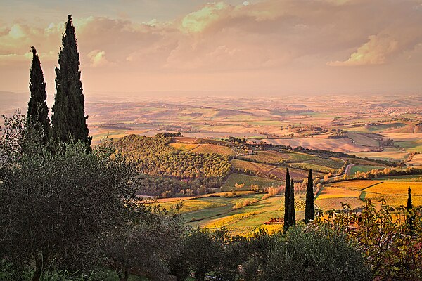 View from Montalcino.