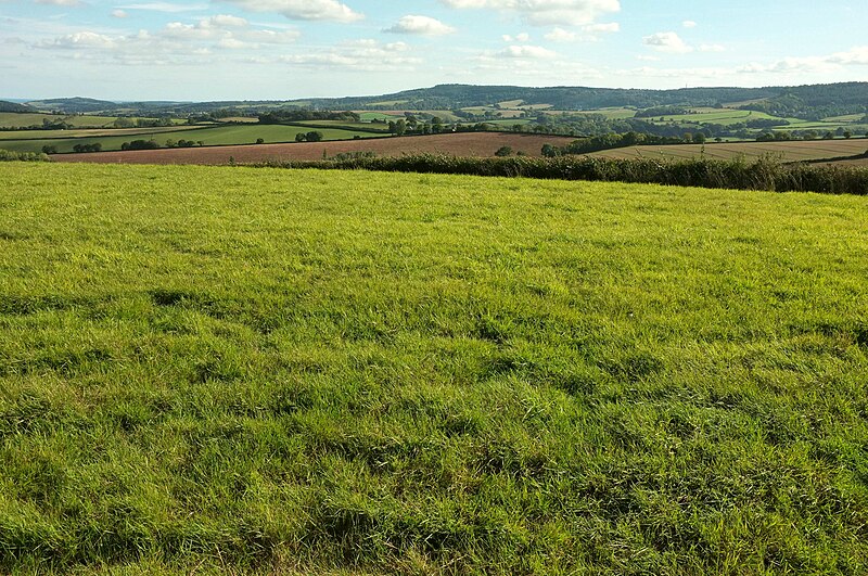 File:View over Marshall Farm - geograph.org.uk - 5919350.jpg