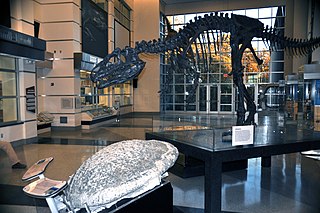 <span class="mw-page-title-main">Virginia Museum of Natural History</span>
