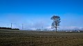 * Nomination Landscape at Olarizu Park. Vitoria-Gasteiz, Basque Country, Spain --Basotxerri 21:47, 25 December 2017 (UTC) * Promotion I like the blue sky, but only as a thumbnail. If you eliminate the colour noise, it will be another QI. Interessting for me (and I am a black&white Lover), I still recognise I don´t like wires or peoble in a picture like bugs. You should nominate YOUR favourite from both!--Hans-Jürgen Neubert 14:49, 25 December 2017 (UTC)  Done More noise reduction applied. --Basotxerri 16:22, 27 December 2017 (UTC) Comment: this is not the same image as the B&W version (compare EXIF data). --Basotxerri 19:09, 28 December 2017 (UTC) Good quality. --Trougnouf 19:52, 29 December 2017 (UTC)