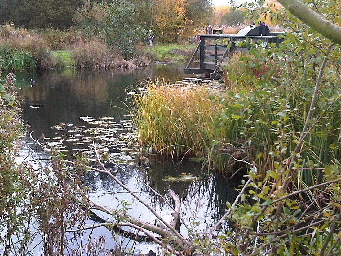 WWT London Wetland Centre