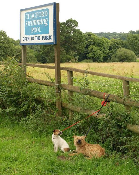 File:Waiting at Chagford Swimming Pool - geograph.org.uk - 915792.jpg