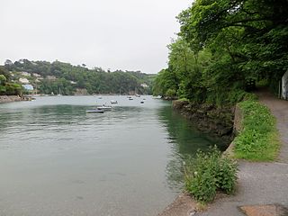 <span class="mw-page-title-main">Warfleet Creek</span> Tidal inlet on the River Dart in Devon, England