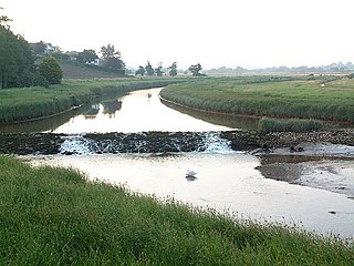 River Clyst River in Devon, England