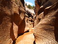 Willis Creek