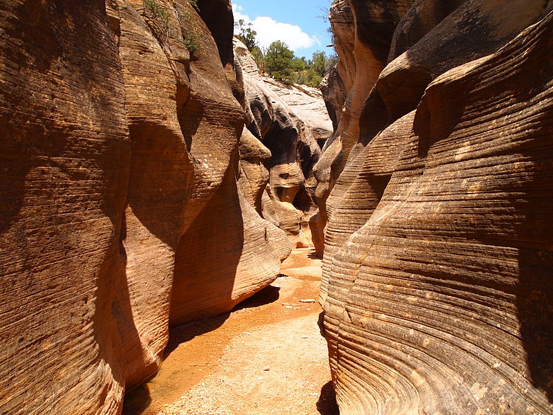 File:Willis Creek.JPG