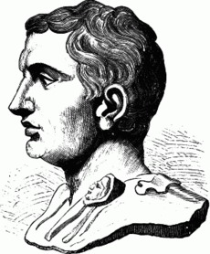 rímsky vojvodca, politik