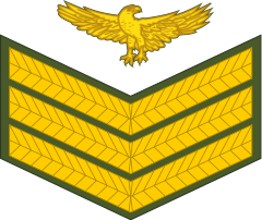 Staff sergeant(Zambian Army)