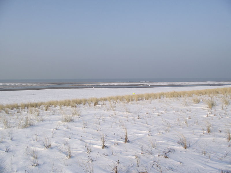 File:Zandmotor in the snow 1.JPG