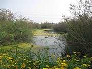 שמורת טבע ביצת זיתא