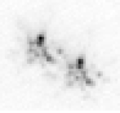 Typische kurzbelichtete Aufnahme des Doppelsterns ohne Anwendung des Lucky Imaging. Der durch die Erdatmosphäre verursachte optische Effekt ist an den kleinen Einzelpunkten, den sogenannten Speckles, erkennbar.