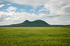 Новые детали масштабного обмена заключенными между Россией и странами Запада