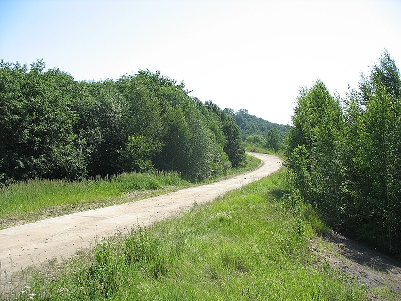 File:Дорога на угор - panoramio.jpg