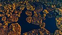 Плавучі острови річки Супій восени. Гідрологічний заказник Усівський.jpg