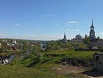 Лесной массив у городской черты г. Торжка