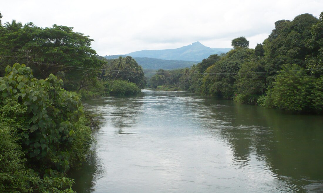 Meenachil River