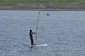 多摩川でウィンドサーフィンを楽しむ人々