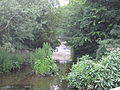 03DVG HENDON LANE WEIR.jpg