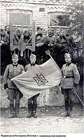 Ukrainian Schutzmannschaft battalion photographed in 1942 115th Battalion of Ukrainian Shuma 1943.jpg
