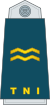 12-TNI Fuerza Aérea-CWO.svg