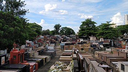 Como chegar até Cemitério da Lapa com o transporte público - Sobre o local