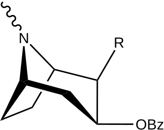 197f.svg