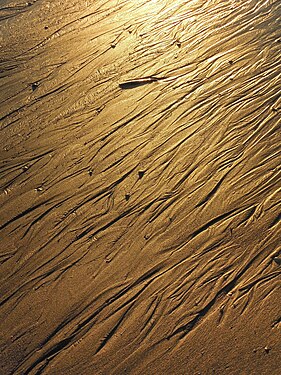 Golden sand formed by tides, Rømø/Denmark.