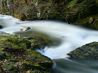 La Savoureuse, à Lepuix.