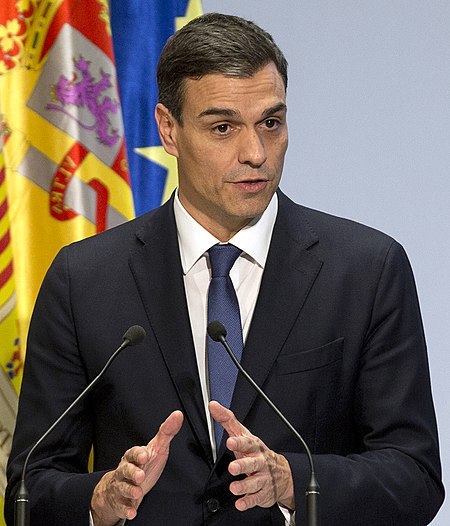 ไฟล์:2018-06-04,_25_aniversario_de_las_relaciones_diplomáticas_entre_España_y_Andorra,_Pedro_Sánchez,_Pool_Moncloa-César_P._Sendra_(cropped).jpg