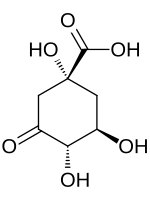 Illustrasjonsbilde av artikkelen 3-Dehydroquinic acid