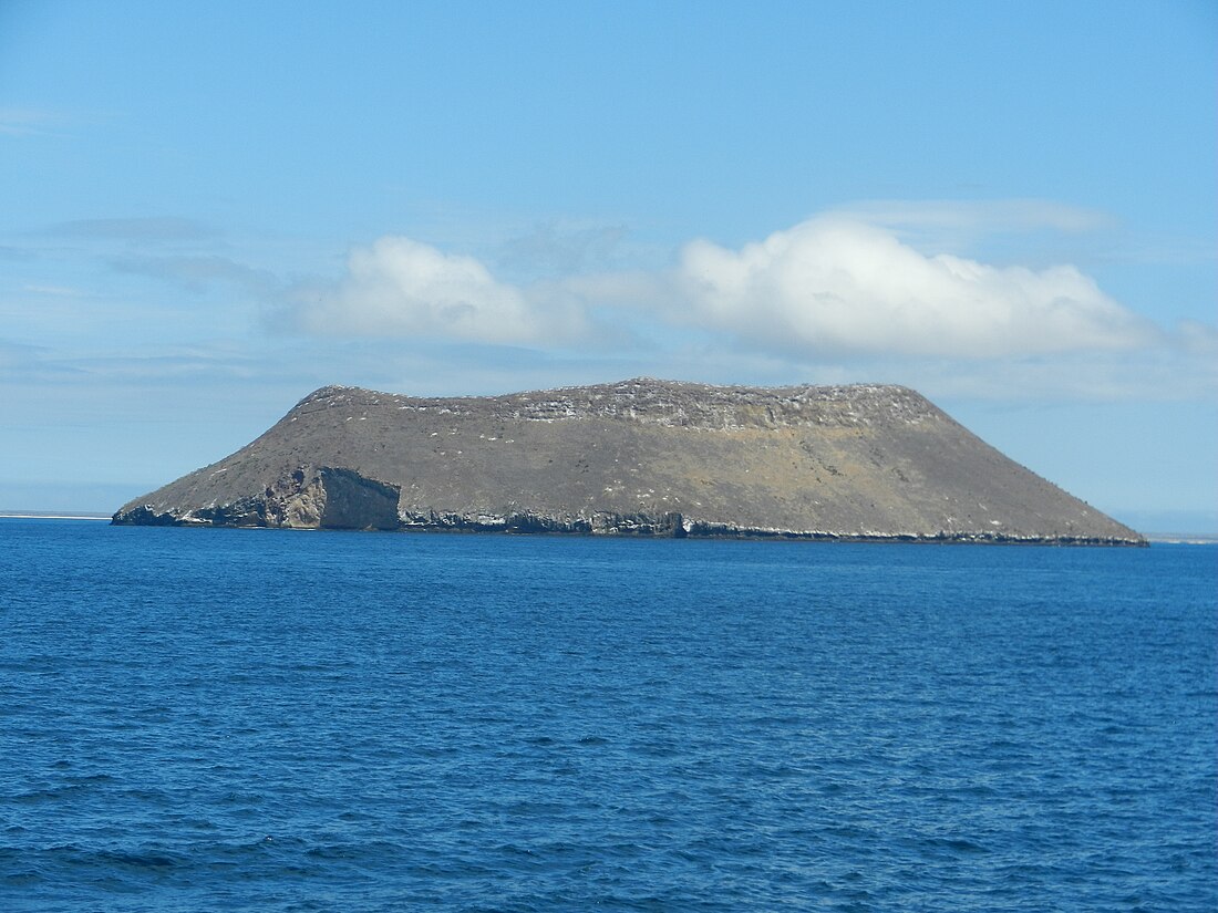 Darwin (Galápagos)