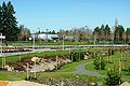 Phase 2 landscaping at w:53rd Avenue Park in w:Hillsboro, Oregon.