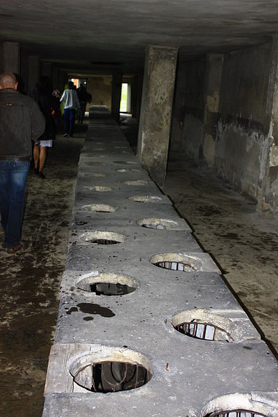 File:619247 Oświęcim obóz koncentracyjny "Birkenau" - latryna 06.JPG