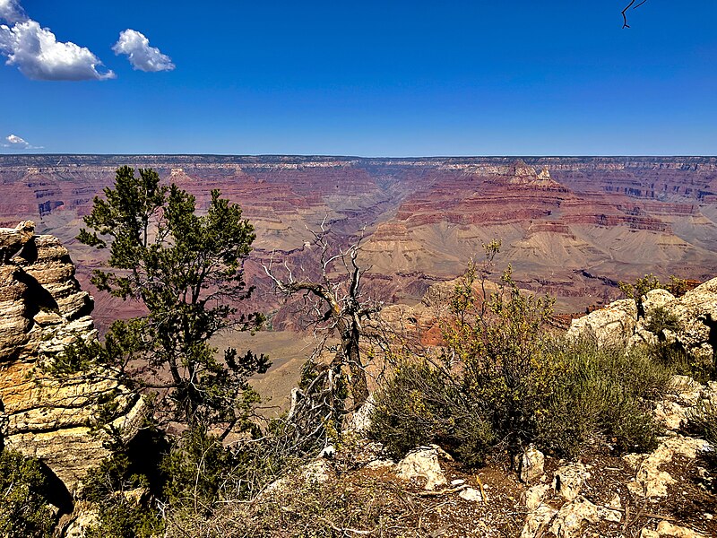 File:An image of the Grand Canyon.jpg
