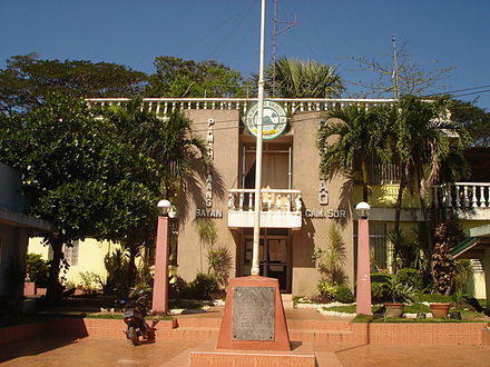 Pasacao town hall An munisipyo Pasacao.jpg