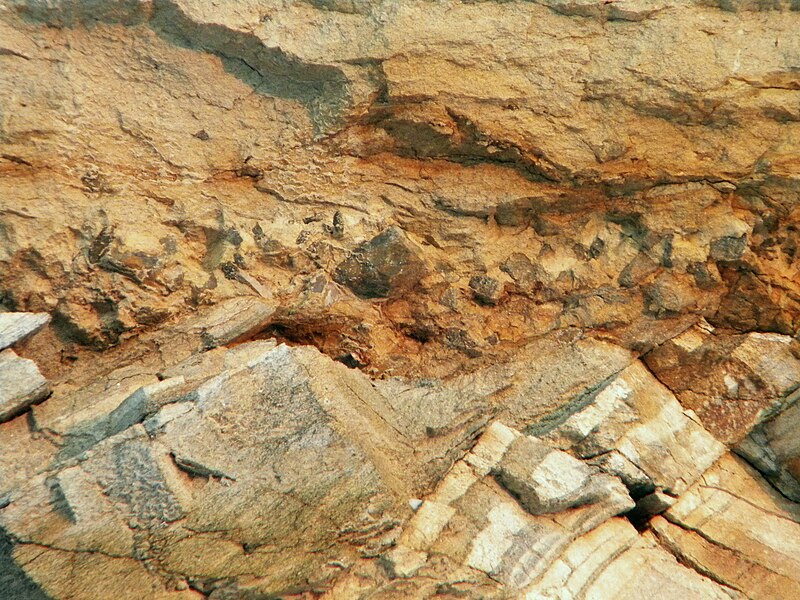 File:Angular unconformity and conglomerate Kutna Hora.jpg