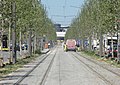 Antwerpen - Antwerpse tram, 23 juli 2019 (201, Italiëlei).JPG