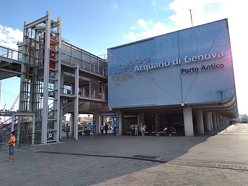 Aquarium of Genoa