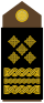 Army-HRV-OF-10.svg