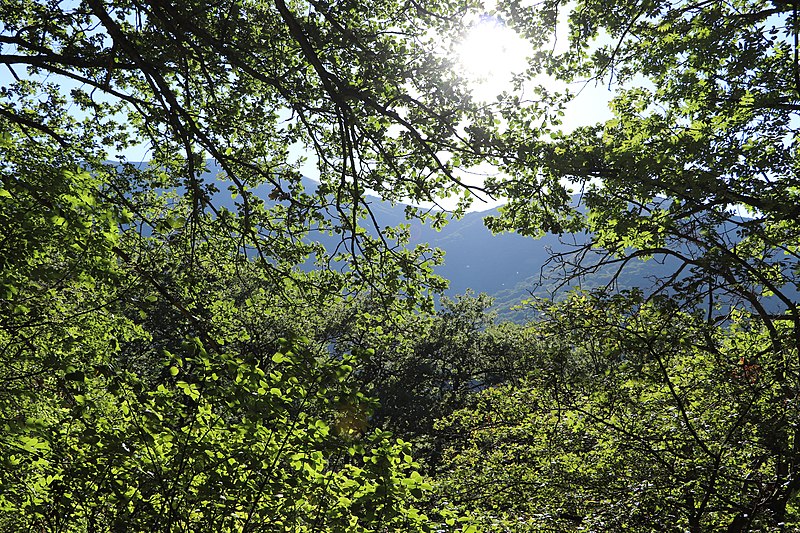 File:Arzakan-Meghradzor Sanctuary 025.jpg