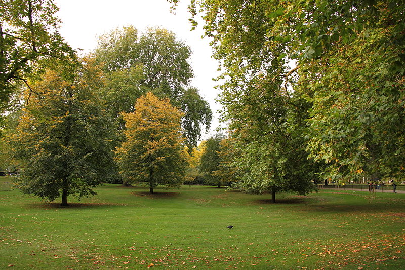 File:Autumn in St. James Park - London (4047159621).jpg