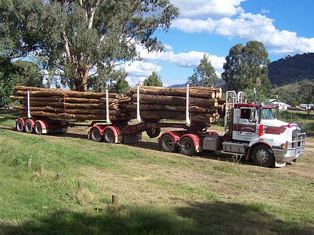 B double logging truck in Australia