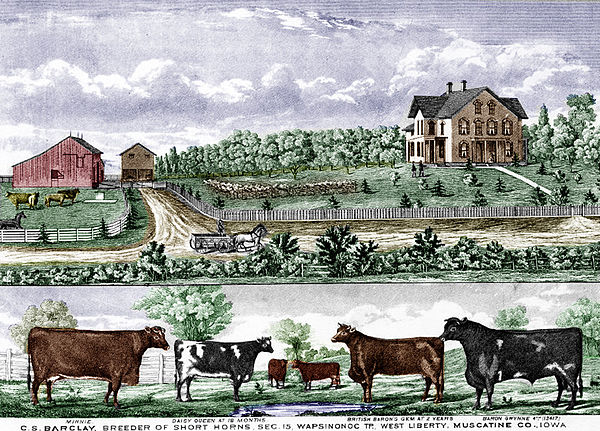 C.S. Barclay farm illustration in 1875