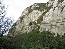 Cliffs east of Branscombe, Devon, showing an adit to Beer Stone workings BeerStoneMineAdit.jpg