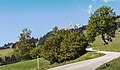 * Nomination Mountain road between Andiast, Ladinas and Breil-Brigels. Panorama road. --Agnes Monkelbaan 06:21, 29 November 2018 (UTC) * Promotion Good quality. --Jacek Halicki 06:27, 29 November 2018 (UTC)