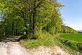 Beverungen - 2019-04-22 - HX-007 Buchenwaelder (26).jpg