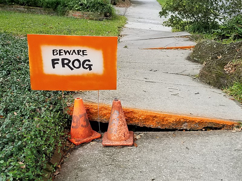 File:Beware Frog in New Orleans.jpg