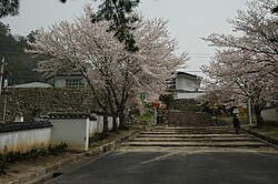 Bitchu Matsuyama Castle 