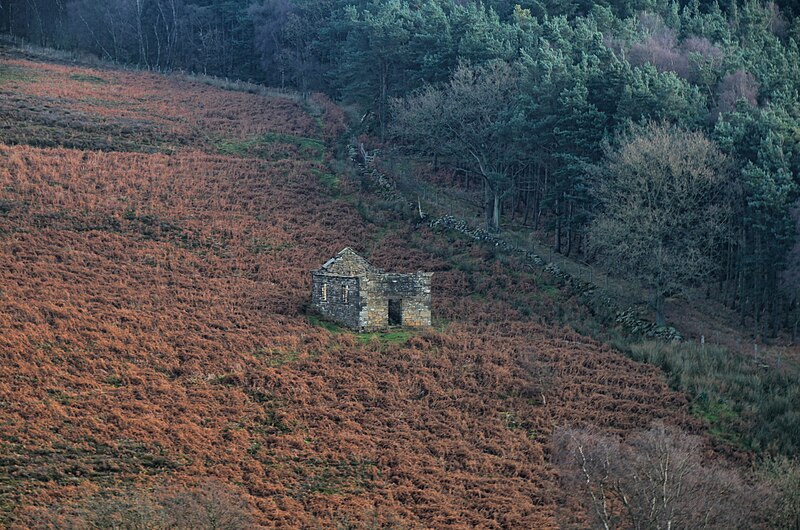 File:Blow Gill - geograph.org.uk - 2718715.jpg