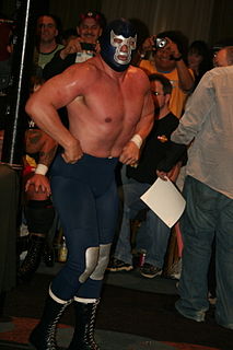 Blue Demon Jr. Mexican professional wrestler